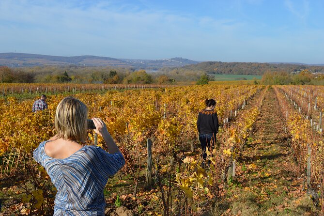 Exclusive Wine Tour in Sancerre & Pouilly Fumé From Paris - Winery Visits and Wine Tastings