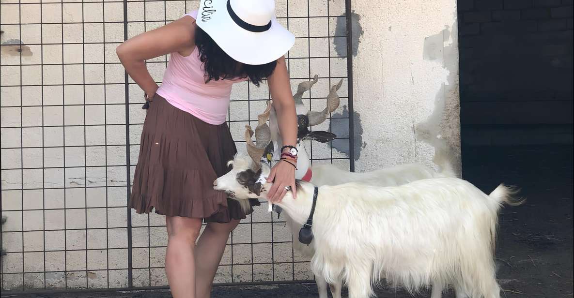 Experience With Girgentan Goats in Agrigento - Cheese Tasting Tradition