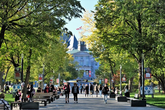 Explore Downtown Montreal - Private Walking Tour - Meeting Point and Directions