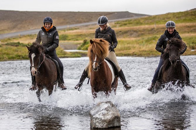 Family Friendly Horse Riding Tour in Skagafjörður - Reviews