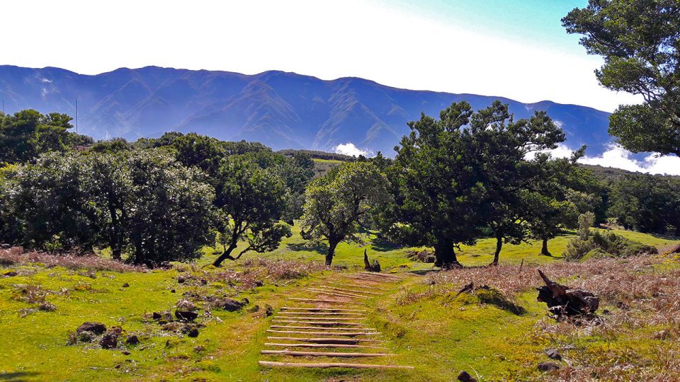 Fanal / Whistlers - Levada Walk - Highlights of the Route