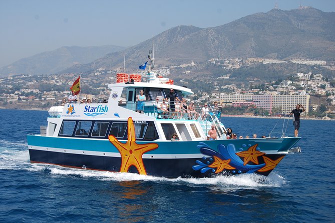 Ferry Benalmádena - Fuengirola - Spotting Marine Life