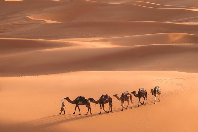 Fes To Marrakech: 3-Day Desert Tour - Camel Trekking in Erg Chebbi