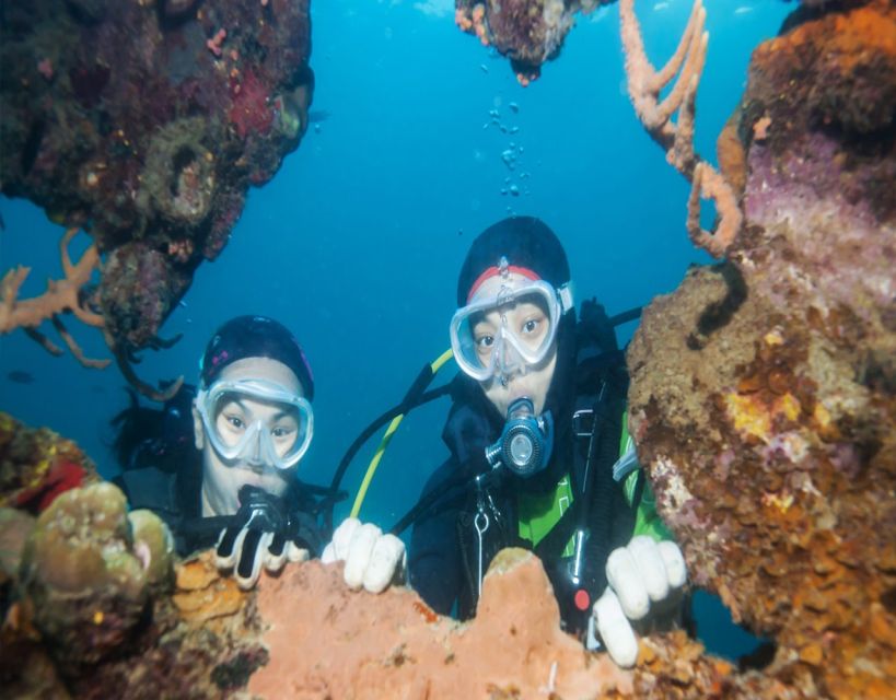 Fethiye: 2 Guided Scuba Dives With Lunch and Hotel Transfers - Boat and Equipment