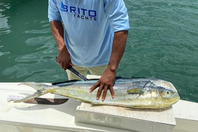 Fishing And Eating Straight From The Sea ( SAONA ISLAND AND PALMILLA) - Pickup and Meeting Points