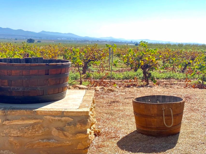 Food Cours in Farmers Place in Valencia Whit Wine Tasting! - Exploring Valencian Farmhouse Paella