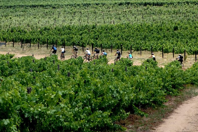 Franschhoek Winelands Luxury EBike Tour - Group Details