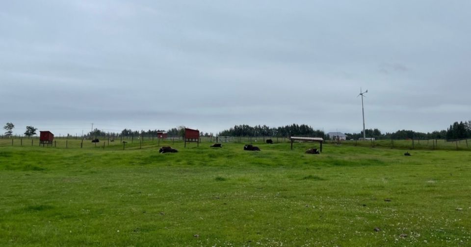 From Anchorage: Scenic Drive and Guided Musk Ox Farm Tour - Scenic Drive to Matanuska Valley