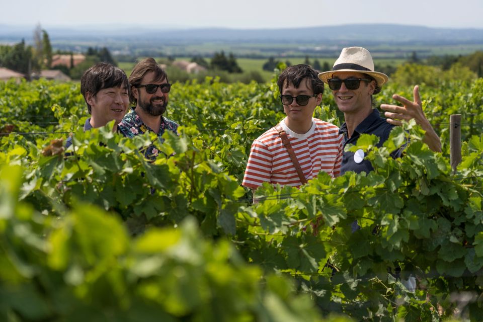 From Avignon: Morning Wine Tour to Châteauneuf Du Pape - Duration and Capacity