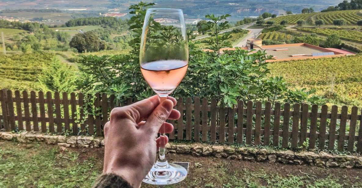 From Barcelona: Montserrat Lunch & Wine Tasting in Vineyard - Montserrat Monastery and Viewpoint