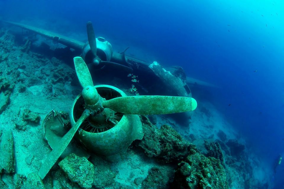 From Bodrum: Scuba Diving in the Aegean Sea - Scuba Diving Highlights