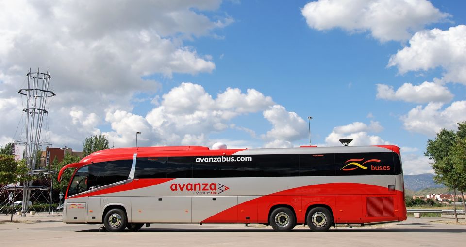 From Cádiz: 1-Way Bus Ticket to Málaga Airport or Vice Versa - Pricing Information