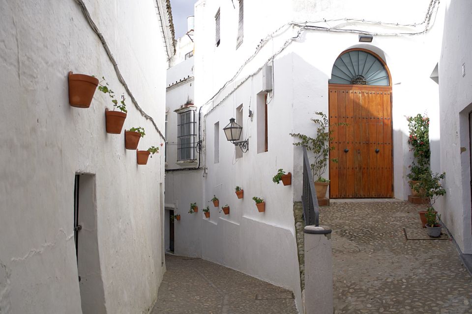 From Cadiz: Private White Villages and City Guided Tour - Immersion in Andalucian Culture