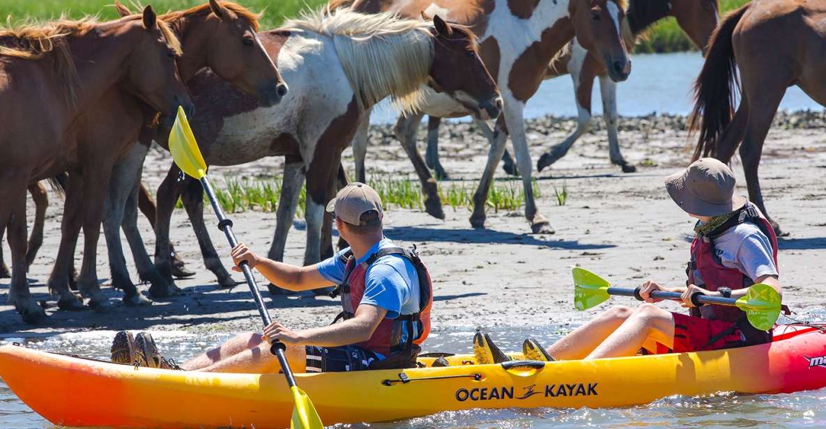 From Chincoteague: Guided Kayak Tour to Assateague Island - Experience and Highlights