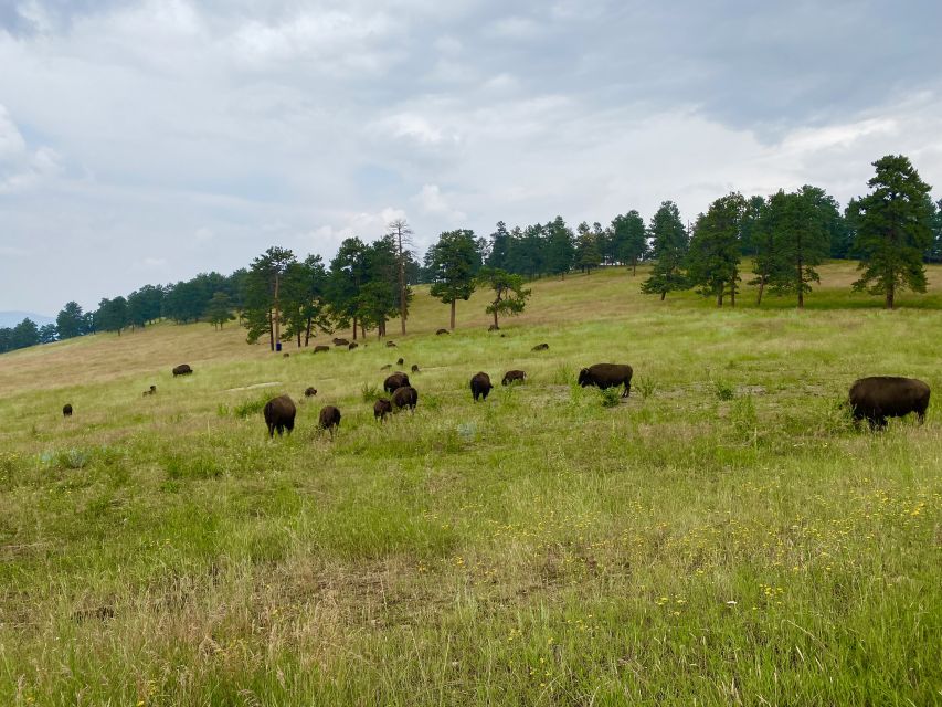 From Denver: Red Rocks and Foothills Half-Day Guided Tour - Itinerary Highlights