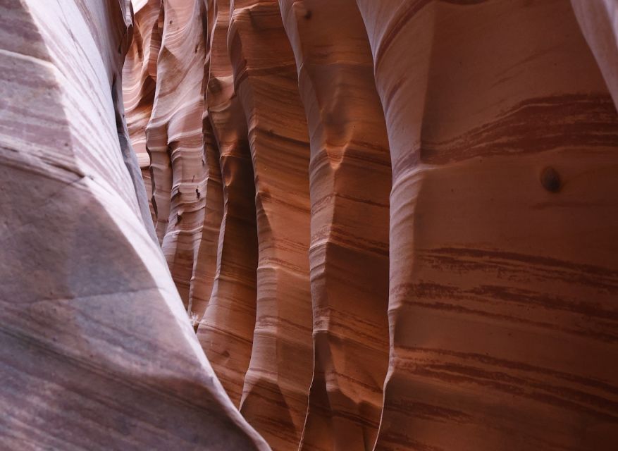 From Escalante: Zebra Slot Canyon Guided Tour and Hike - Experience Details