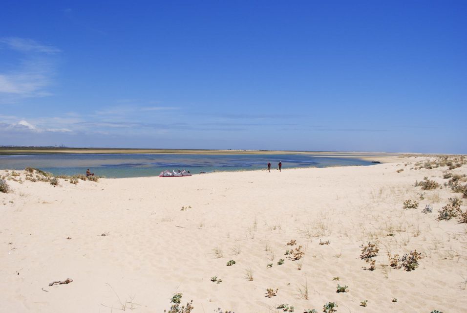 From Faro: 2-Hour Guided Bird Watching Boat Trip - Highlights of the Experience