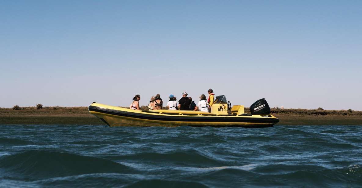 From Faro: Ria Formosa Eco Tour Guided by Marine Biologist - Experience Highlights