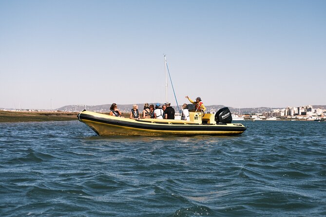 From Faro: Ria Formosa Eco Tour Guided by Marine Biologist - Expert Guides Informative Commentary