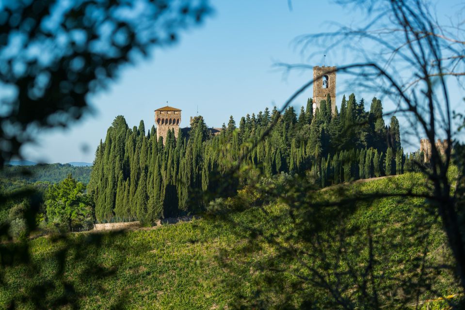 From Florence: Chianti Guided Tour With Tuscan Wine Tasting - Immerse in Tuscan Vineyard Landscapes