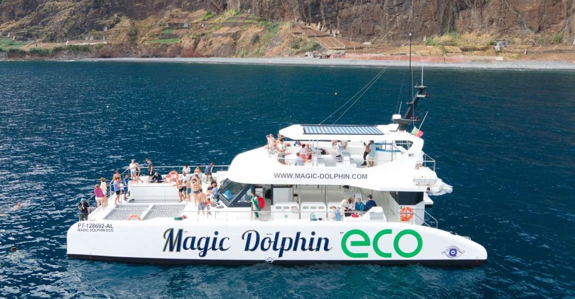 From Funchal: Ecological Catamaran Dolphin Whale Watching - Eco-Friendly Features