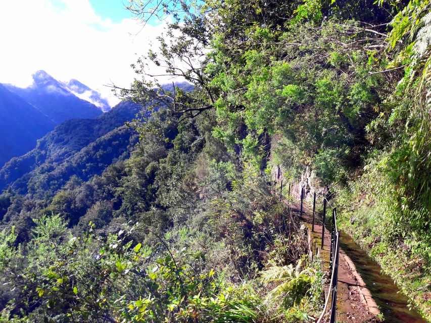 From Funchal: São Jorge Valleys Levada Walk - Tour Highlights