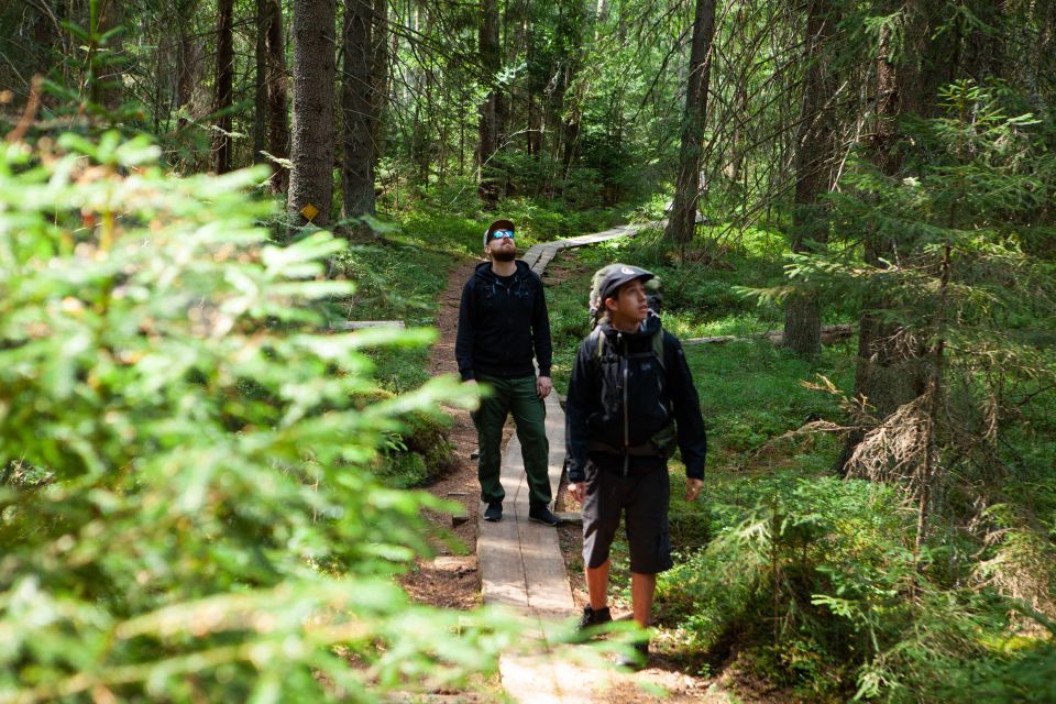 From Helsinki: Magical Taiga Hike in Liesjärvi National Park - Highlights of the Tour