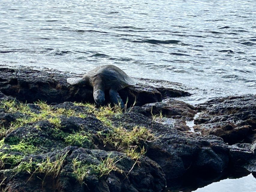 From Hilo: Hawaii Volcanoes National Park Tour - Visit Hawaii Volcanoes National Park