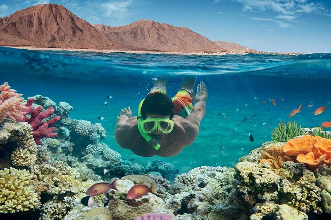 From Hurghada: Paradise Island Full-Day Snorkeling Tour - Pickup Information