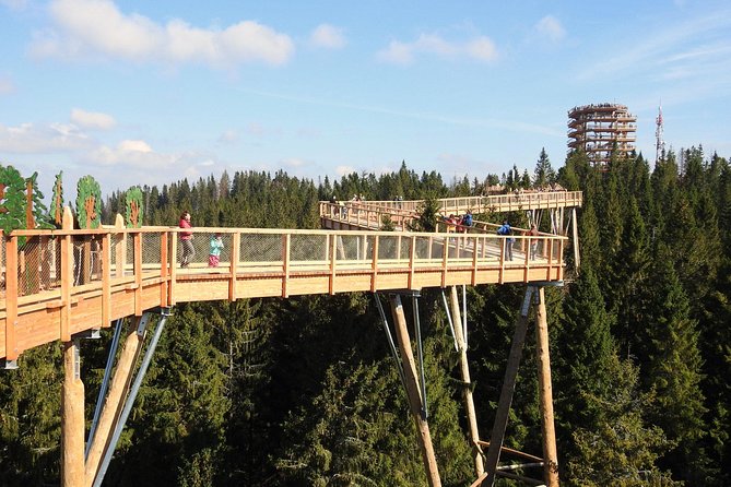 From Krakow: Slovakia Treetop Walk Bachledka and Zakopane - Bachledova Treetop Trail in Slovakia