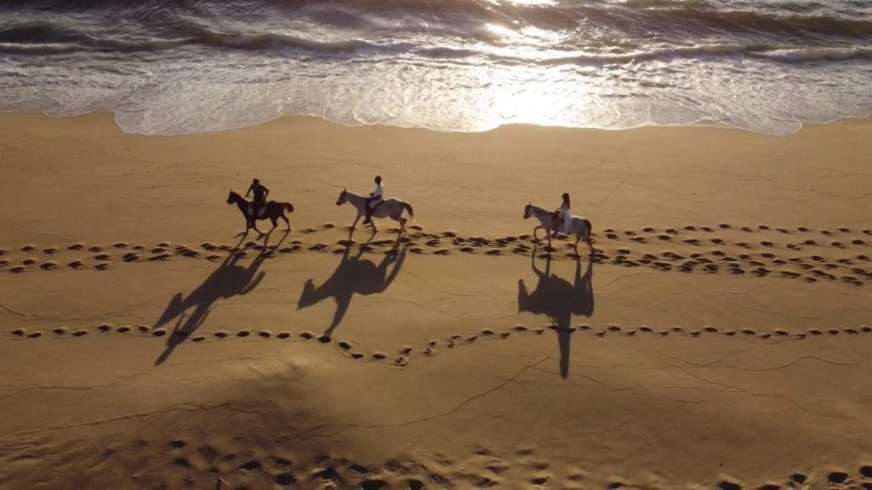 From Lisbon: Horseback Riding on Comporta Beach - Experience Highlights