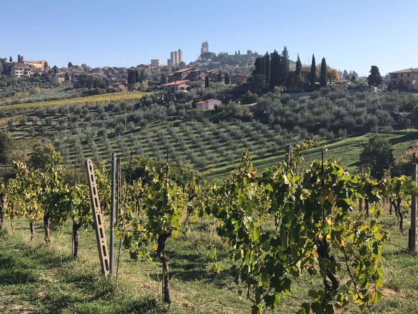 From Livorno: Shore Excursion to Chianti and San Gimignano - Chianti Winery Visit