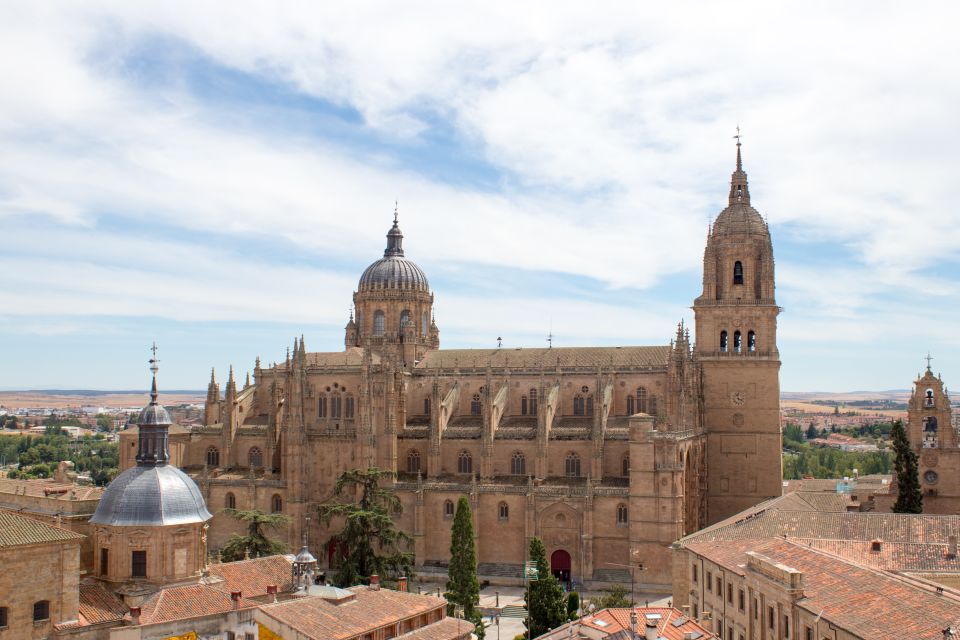 From Madrid: Avila and Salamanca Private Tour - Highlights of the Tour