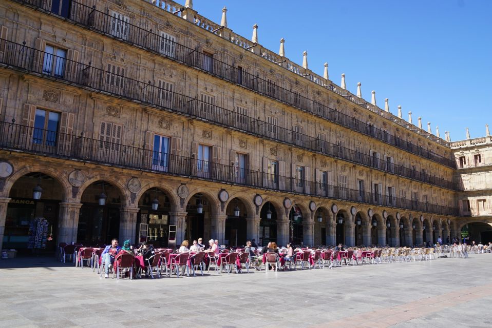 From Madrid: Day Trip to Salamanca With Private Tour - Discovering Salamancas Cultural Heritage