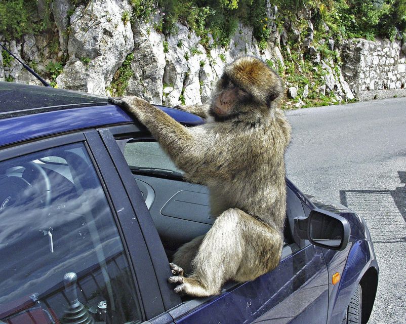 From Malaga: Rock of Gibraltar Private Skip-the-Line Tour - Standing at Mediterranean and Atlantic