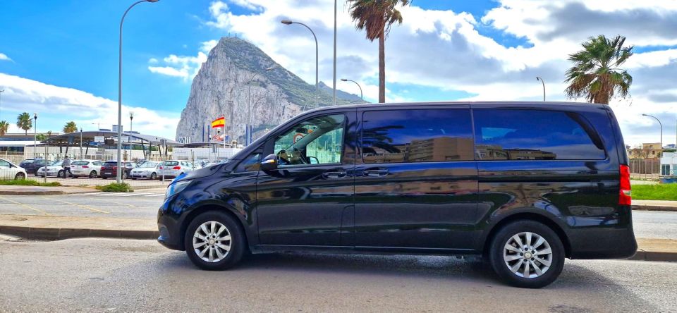 From Marbella: Guided Private Trip to Gibraltar and Estepona - Gibraltar Exploration