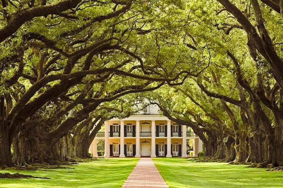 From New Orleans: Oak Alley or Laura Plantation Tour - Tour Highlights