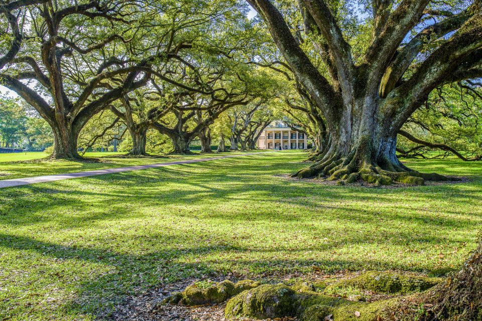 From New Orleans: Whitney Plantation Ticket & Transportation - Pricing and Cancellation