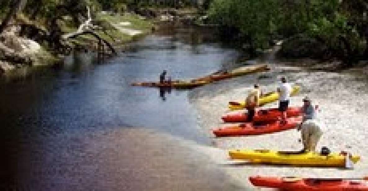 From Orlando: Kayaking the Econlockhatchee River With Lunch - Experience Highlights