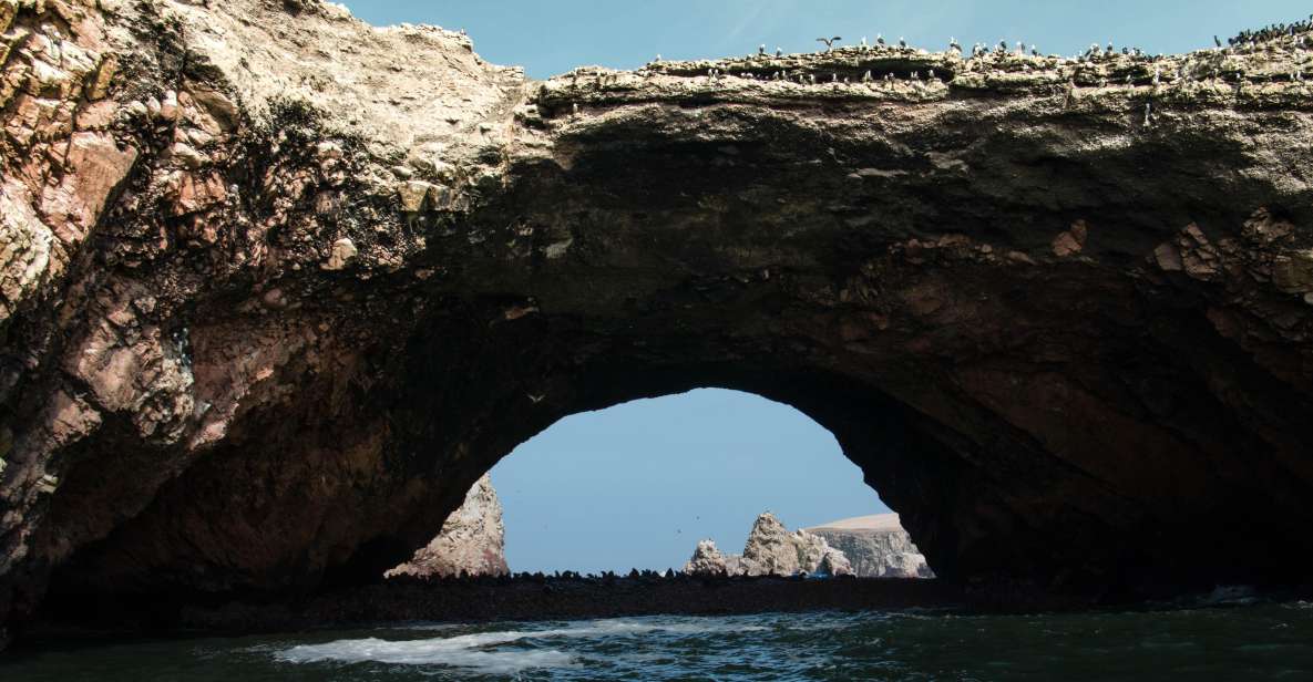 From Paracas: Ballestas Island Marine Wildlife Watching - Key Highlights of the Excursion