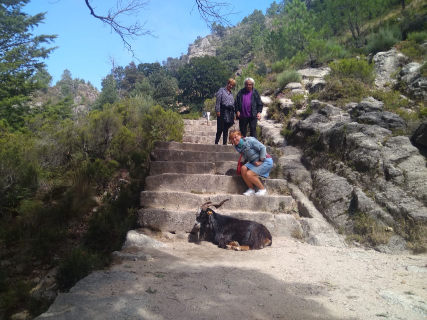 From Porto: Guided Hike to Gerês Park - Historical and Archaeological Significance