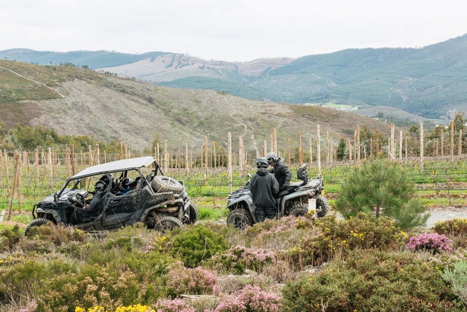 From Porto: Off-Road Buggy Adventure - Highlights of the Tour