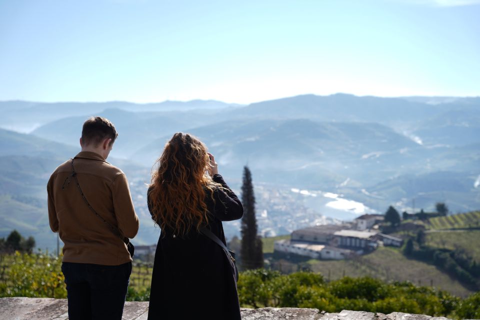 From Porto: Premium Douro Valley Small-Group Wine Tour - Highlights