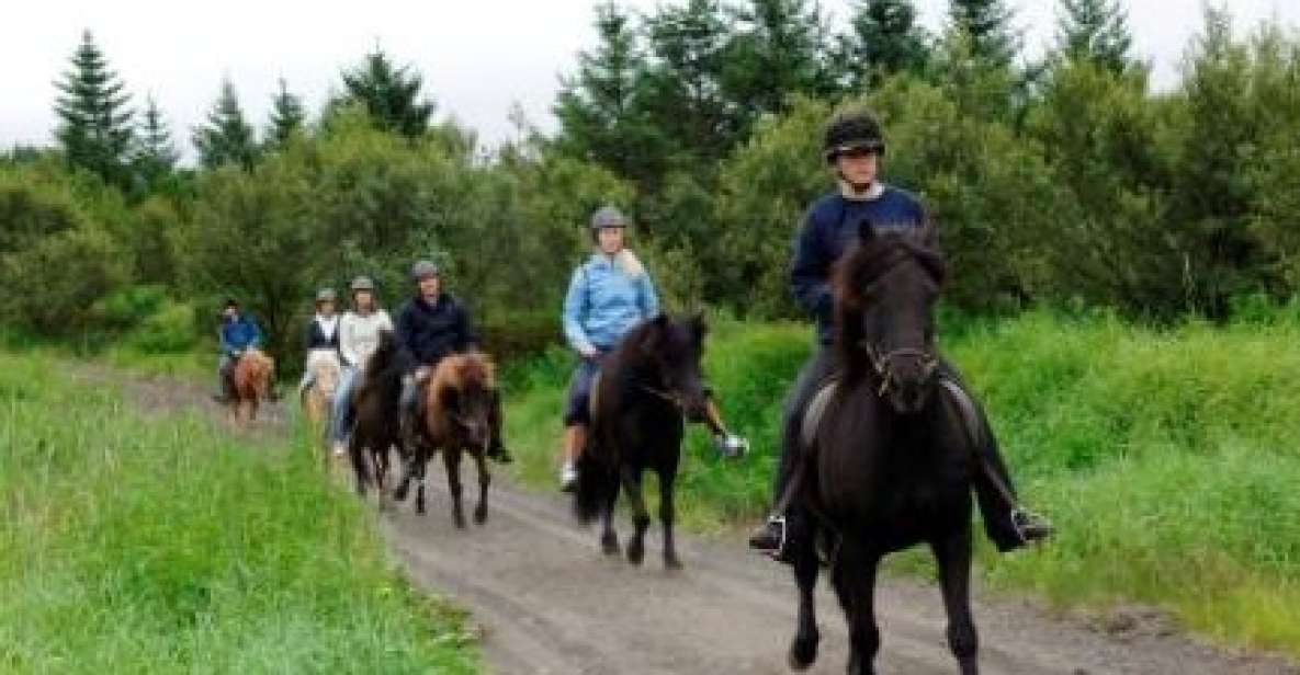 From Reykjavik: Full-Day Horse Riding & Golden Circle Tour - Horse Riding Experience