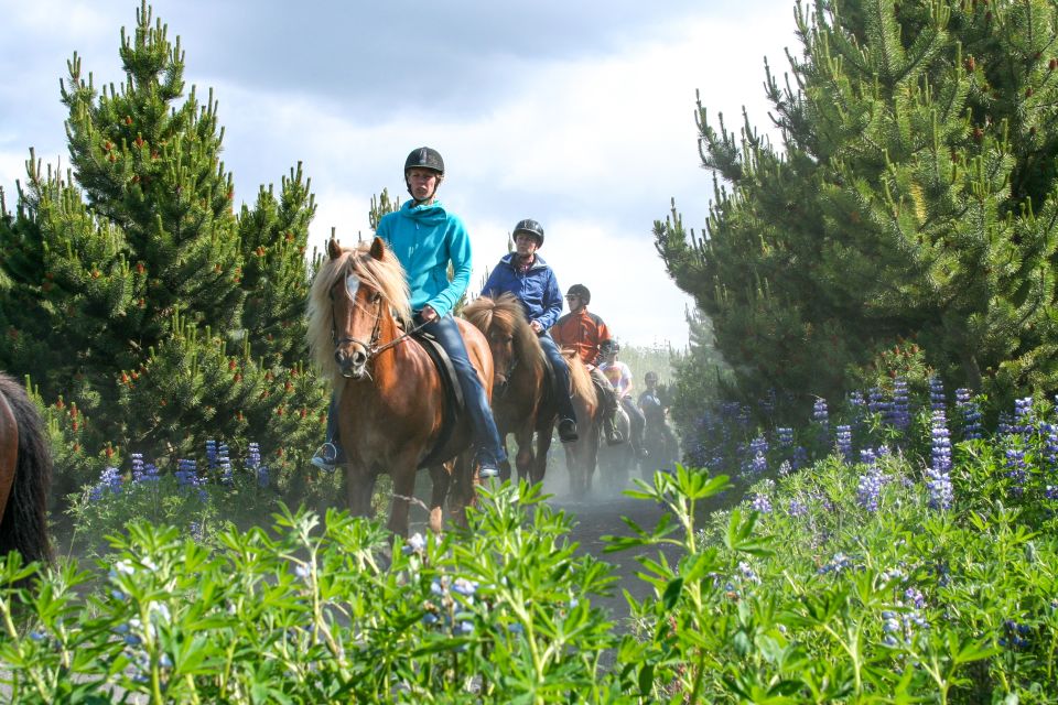 From Reykjavik: Icelandic Horse Riding Tour in Lava Fields - Riding Experience