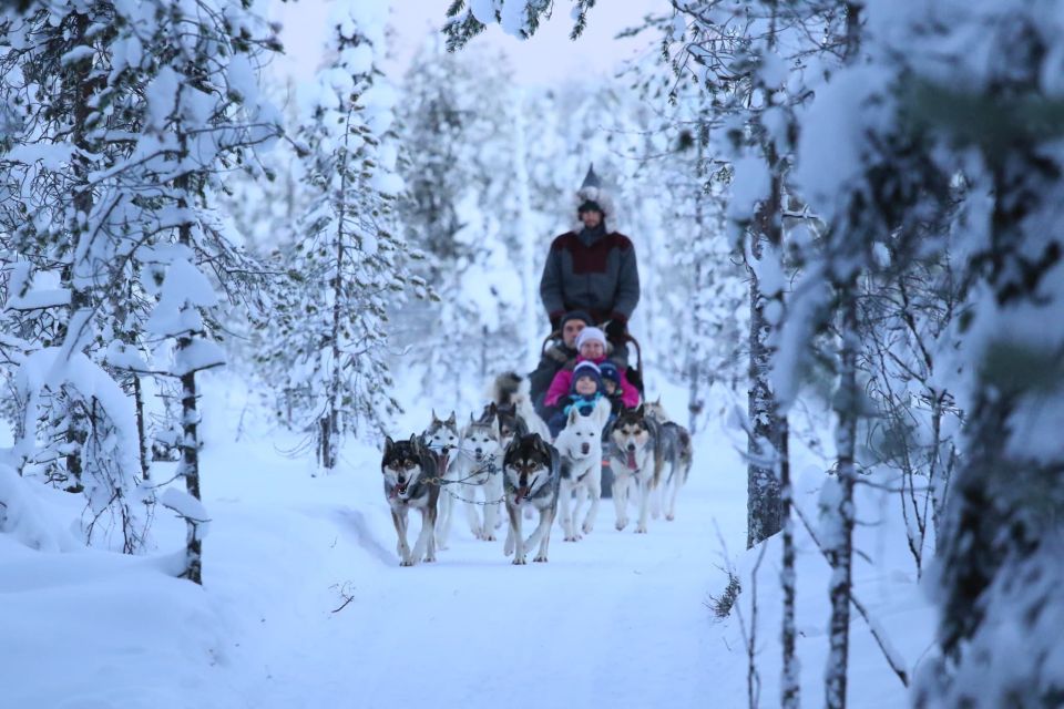 From Rovaniemi: 5km Husky Sled Ride - Hear From the Musher