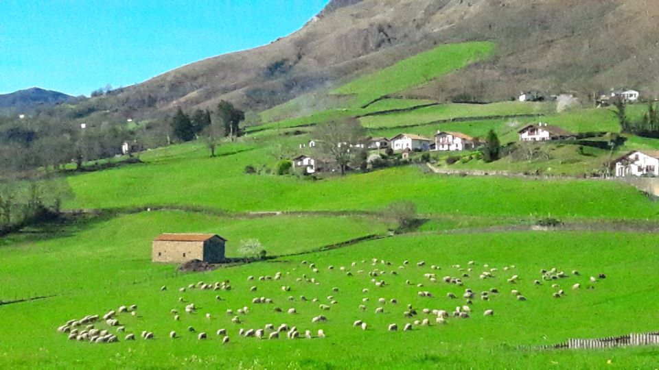 From San Sebastian: French-Basque Countryside Private Tour - Discovering the Town of Bidarray