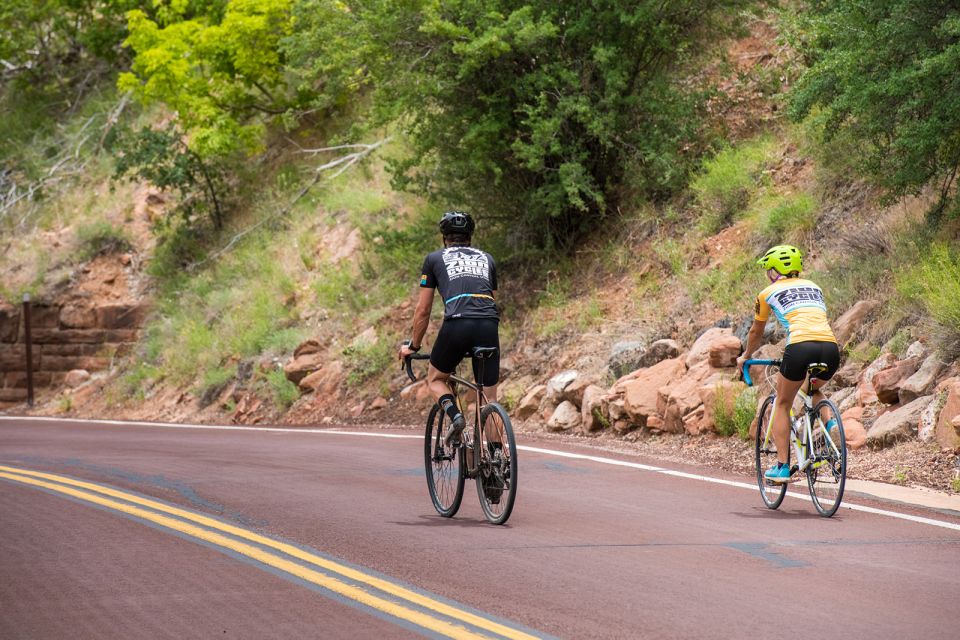 From Springdale: Zion National Park Bike Tour - Panoramic Views of Utahs Wonders