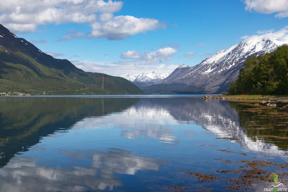 From Tromso: Norwegian Fjords Half-Day Tour - Scenic Fjords Discovery