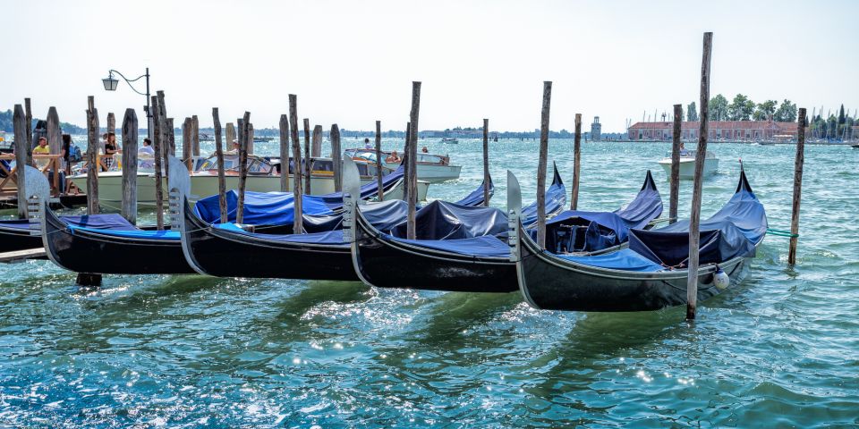 From Umag: Venice Boat Trip With Day or One-Way Option - Experience Highlights